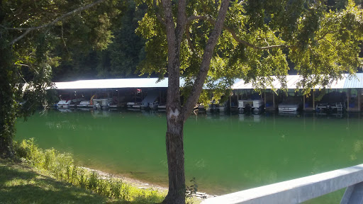 Marina «Mitchell Creek Marina», reviews and photos, 1260 Livingston Boat Dock Rd, Allons, TN 38541, USA