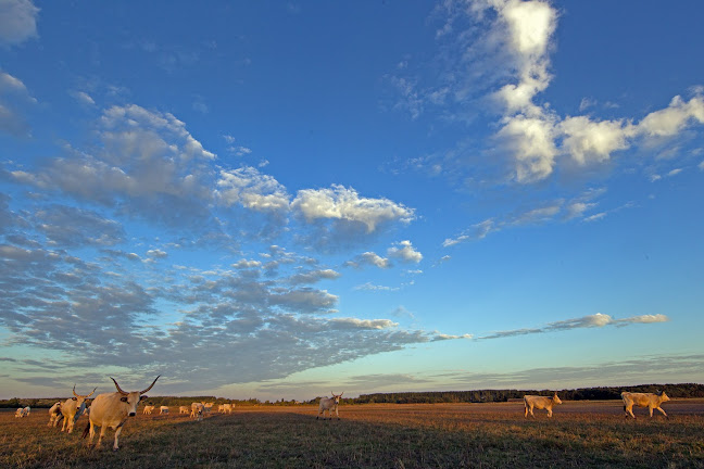 Bibic Nature Lodge - Szálloda
