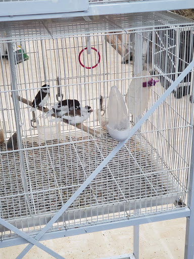 General Store «Pick & Shovel», reviews and photos, 54 Coventry St, Newport, VT 05855, USA