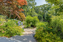 Bayview Landscape Architecture - Photo 9 - Car repair in Long Island City, NY, New York