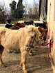 Centre Equestre Le Pilon Manosque