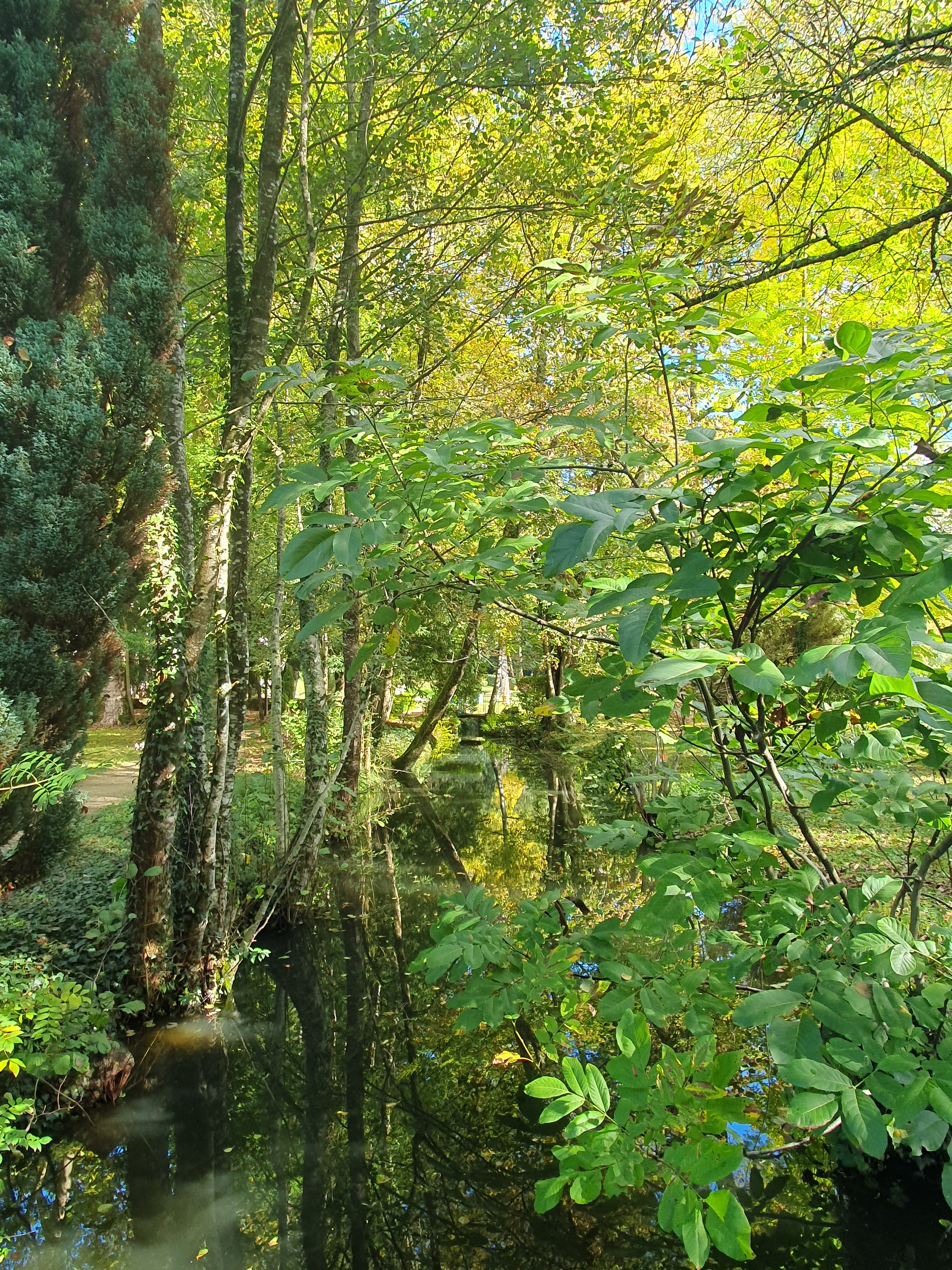 Photo n° 7 de l'avis de Valérie.a fait le 29/10/2023 à 05:20