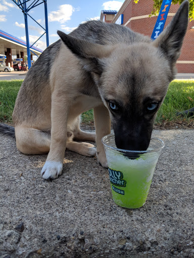 Car Wash «Delta Sonic Car Wash», reviews and photos, 1812 W Jefferson St, Joliet, IL 60435, USA
