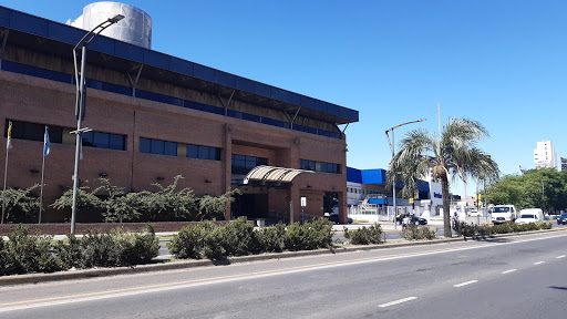 Colegios mayores para estudiantes en Rosario