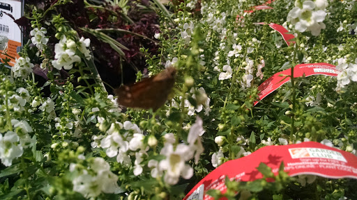 Home Improvement Store «The Home Depot», reviews and photos, 6921 Walton Ln, Gloucester Courthouse, VA 23061, USA