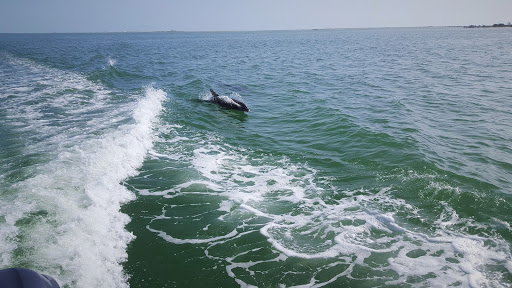 Boat Tour Agency «Spongeorama Cruise lines», reviews and photos, 510 Dodecanese Blvd, Tarpon Springs, FL 34689, USA