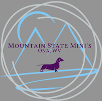 Mountain State Mini's - Photo 3 - Car repair in , Huntington