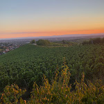 Photo n°1 de l'avis de Gordon.a fait le 04/08/2022 à 07:48 sur le  Schützenhaus Wolfsgrube à Offenburg