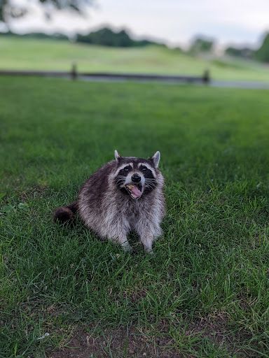 State Park «Bethpage State Park», reviews and photos, 99 Quaker Meeting House Rd, Farmingdale, NY 11735, USA
