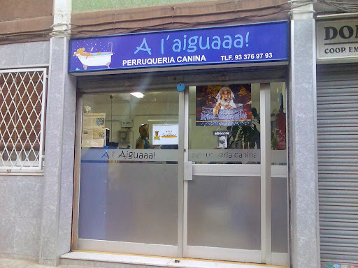 A l'Aigua Peluqueria Canina - Cornellà de Llobregat