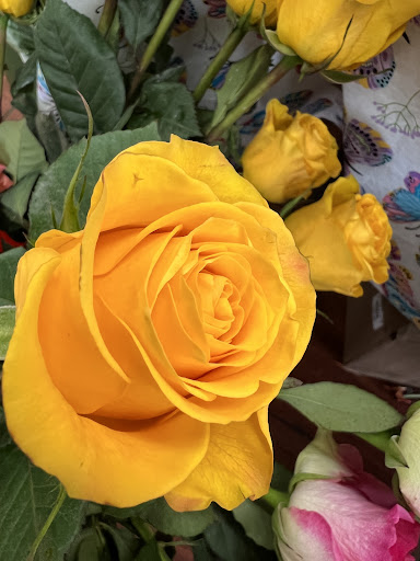 Florist «Lezze Flowers», reviews and photos, 341 Paterson Ave, Wallington, NJ 07057, USA