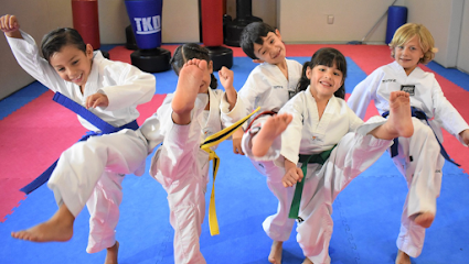 Taekwondo Optimum Training - OTT