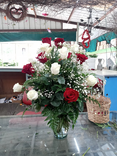 Florist «TGF Flowers», reviews and photos, 3902 Fannin St, Houston, TX 77004, USA