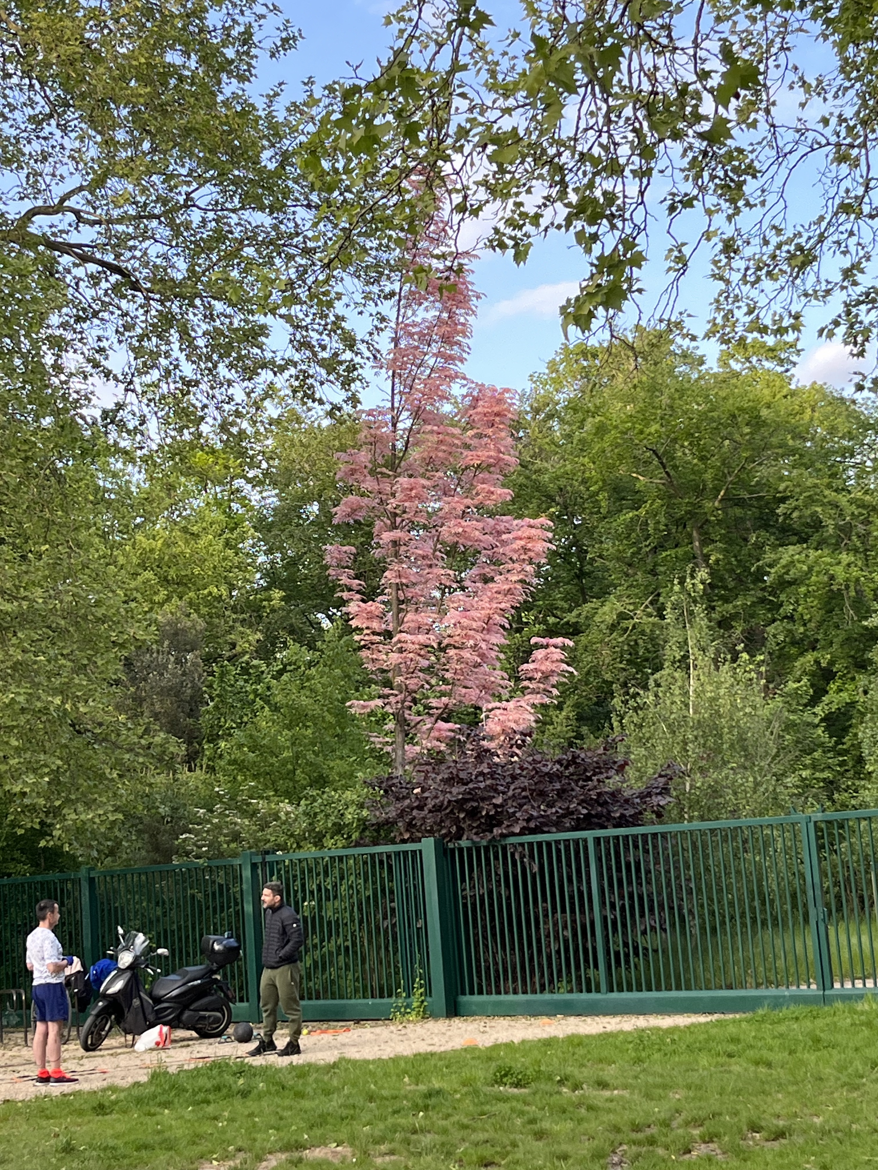 Photo n° 1 de l'avis de Md.n fait le 03/06/2023 à 06:33