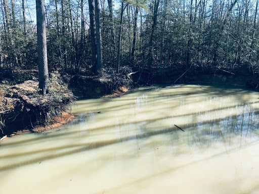 Park «Glassboro Wildlife Management Area», reviews and photos, Fries Mill Rd, Clayton, NJ 08312, USA