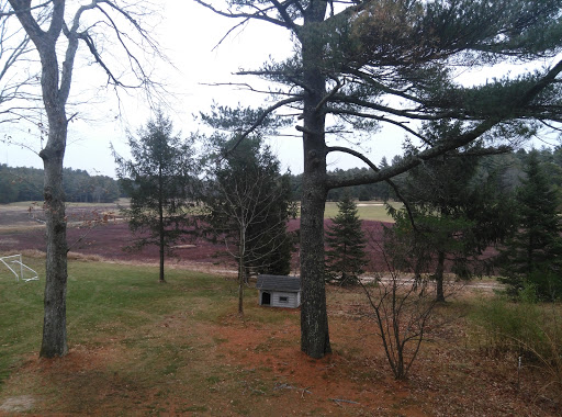 Golf Course «Southers Marsh Golf Club», reviews and photos, 30 Southers Marsh Ln, Plymouth, MA 02360, USA