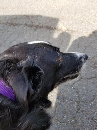 The Church Mouse Thrift Shop @ChurchMouseSonoma