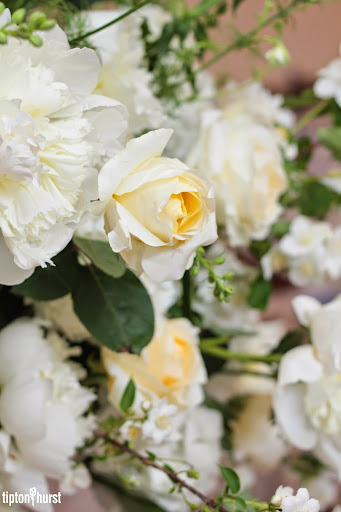 Florist «Tipton & Hurst - Conway», reviews and photos, 810 4th Ave, Conway, AR 72032, USA