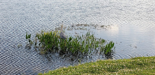 Country Club «East Bay Country Club», reviews and photos, 702 Country Club Dr, Largo, FL 33771, USA