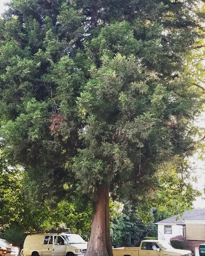 Park «Colonel Summers Park», reviews and photos, SE 17th Ave & Taylor St, Portland, OR 97214, USA