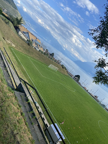 FC Vignoble - Terrain de la Thioleyre - Sportstätte