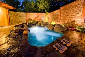 Japanese Mountain Retreat Mineral Springs & Spa image
