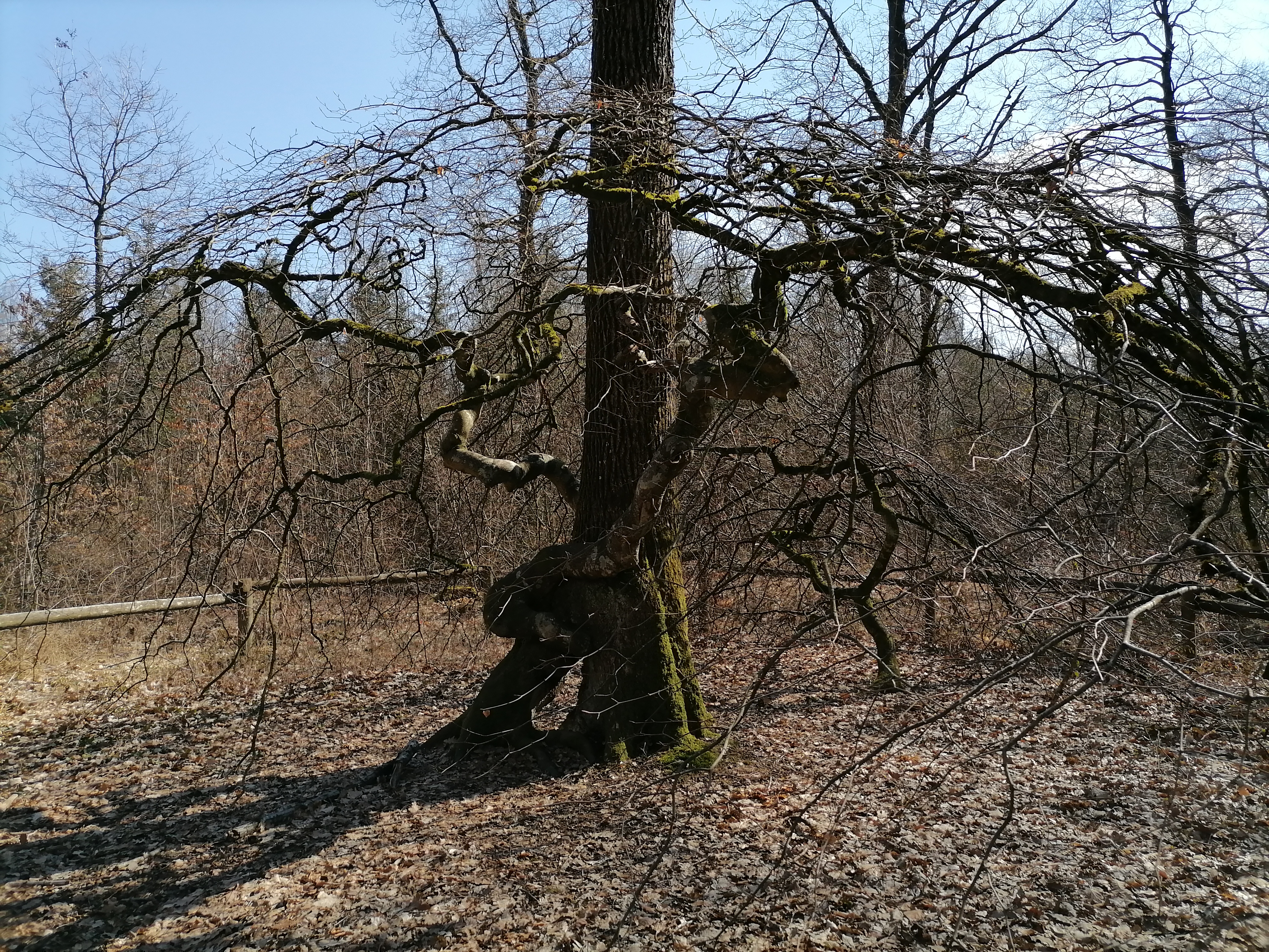 Photo n° 3 de l'avis de Benoît.a fait le 09/04/2021 à 21:33