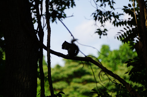 Nature Preserve «Wildlands Conservancy», reviews and photos, 3701 Orchid Pl, Emmaus, PA 18049, USA