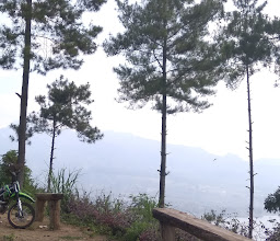 Bukit Srege Flower Hill photo