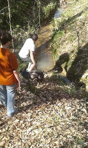 Nature Preserve «MaryAnn Brown Nature Preserve», reviews and photos, 13515 LA-965, St Francisville, LA 70775, USA