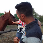 Photo n°4 de l'avis de Franco.r fait le 17/08/2018 à 20:35 sur le  Chiara Ranch Agri Ristoro Aperto solo su prenotazione anticipata.Luglio e Agosto! à Gavorrano