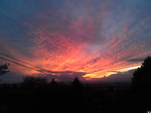 Park «Melilah Park», reviews and photos, SW 182nd Ave, Aloha, OR 97006, USA