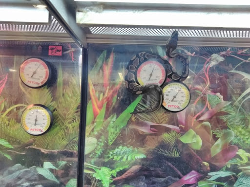 Pet Supply Store «Petco Animal Supplies», reviews and photos, 3380 124th Ave NW, Coon Rapids, MN 55433, USA