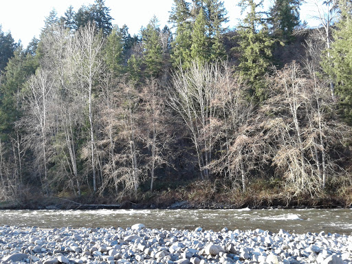 Public Golf Course «White River Disc Golf Course», reviews and photos, 2401 Stuck River Dr, Auburn, WA 98092, USA