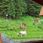 Photo n°1 de l'avis de Lauro.c fait le 06/01/2018 à 18:07 sur le  Centro Turistico Thule à Selva di Cadore