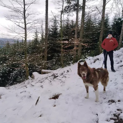 Mkchiens à Éloyes