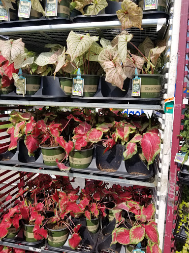 Shopping Mall «Laurel Lakes Centre», reviews and photos, 14700 US-1, Laurel, MD 20707, USA