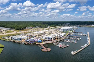 Waterpoint Marina on Lake Conroe image