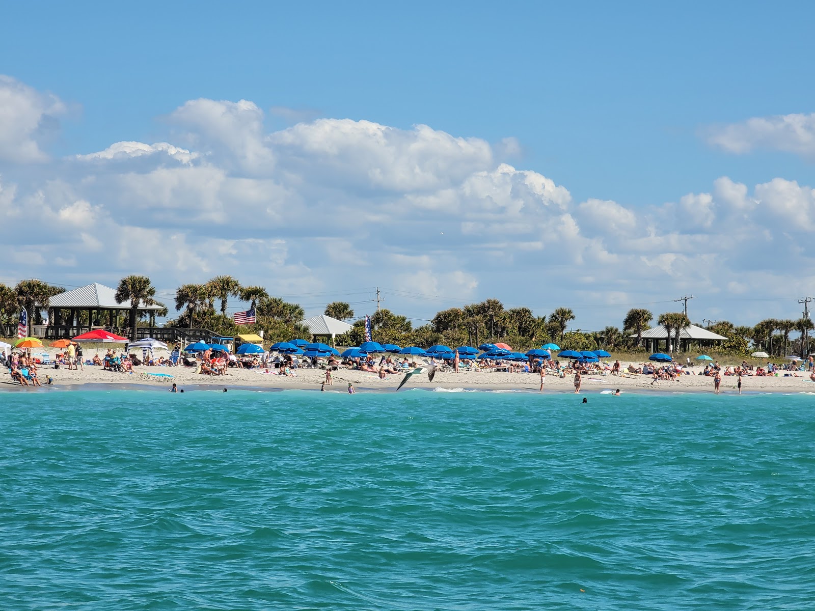 Foto de Englewood beach con recta y larga