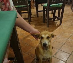 The Garden Restaurant photo
