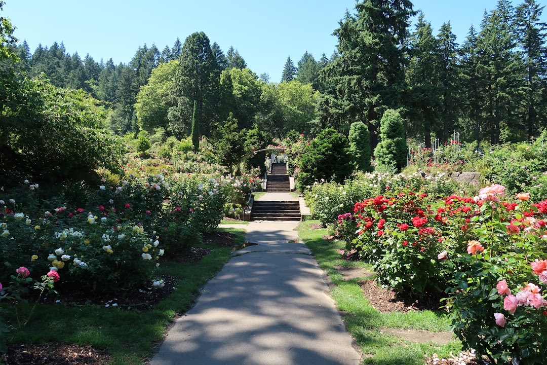 International Rose Test Garden