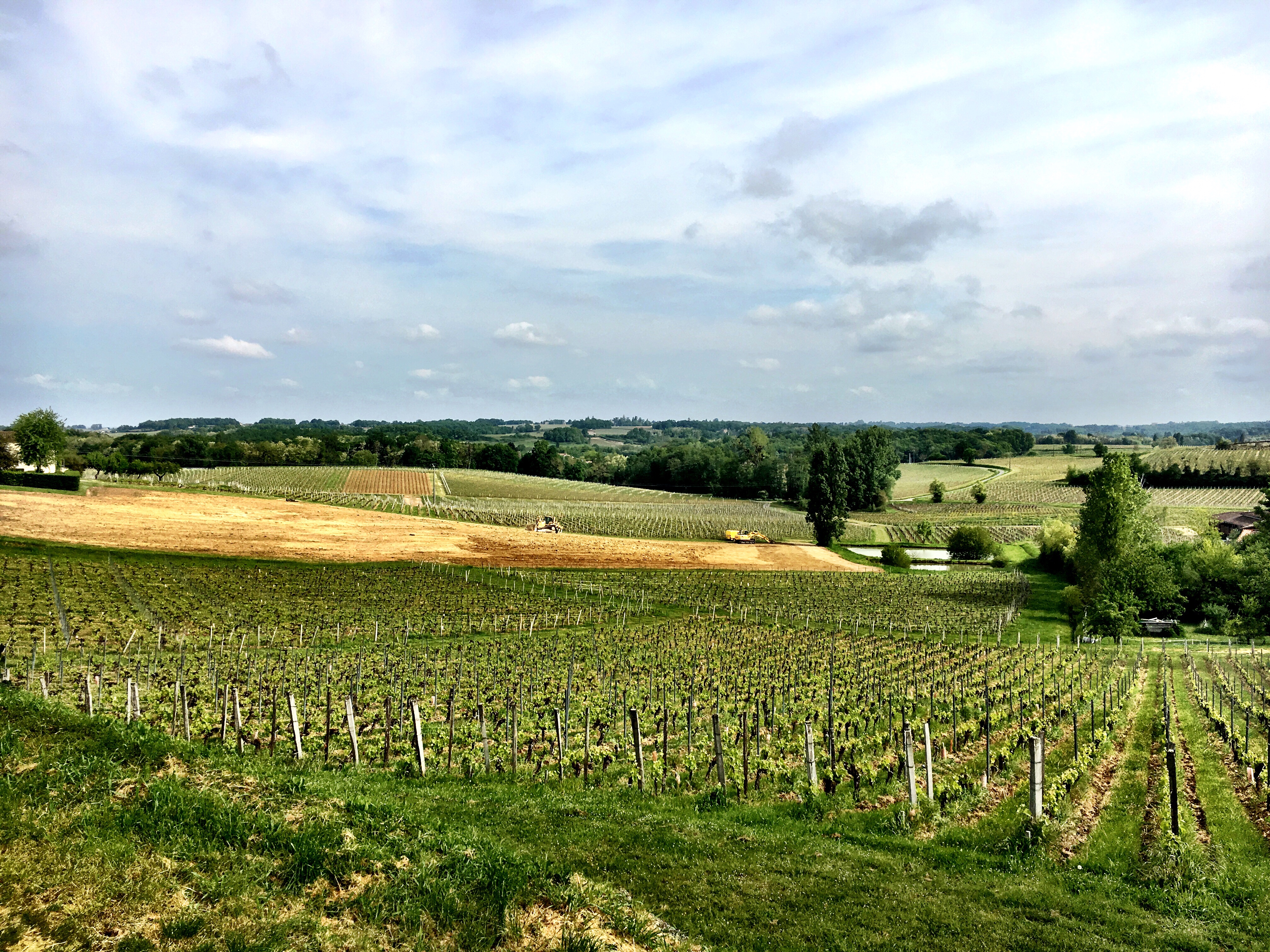 Photo n° 3 de l'avis de Reuben.i fait le 26/04/2017 à 19:27