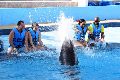 Tour Agency «Miami Swim With Dolphin Tours», reviews and photos, 247 SW 8th St, Miami, FL 33130, USA