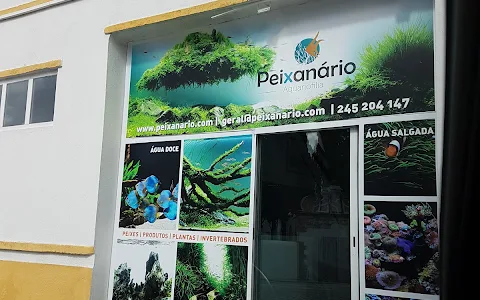 Peixanário - Aquariofilia image