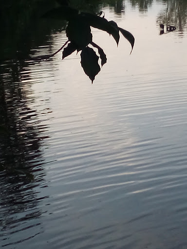 Art Museum «Richmond Art Museum», reviews and photos, 350 Hub Etchison Pkwy, Richmond, IN 47374, USA