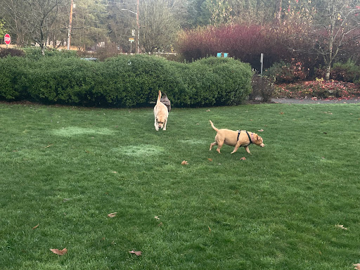 Park «Viewpoint Park», reviews and photos, 134th & NE 24th Street, Bellevue, WA 98005, USA