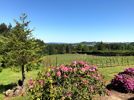 Vineyard «A Blooming Hill Vineyard», reviews and photos, 5195 SW Hergert Rd, Cornelius, OR 97113, USA