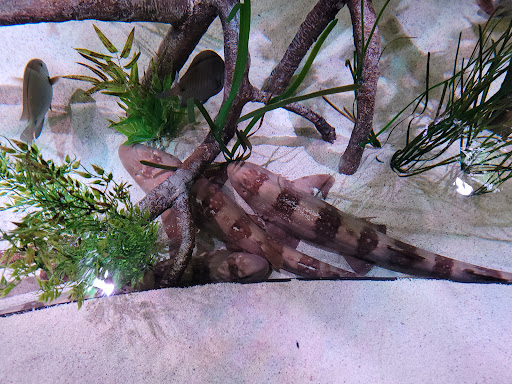 Aquarium «Aquarium of Niagara», reviews and photos, 701 Whirlpool St, Niagara Falls, NY 14301, USA