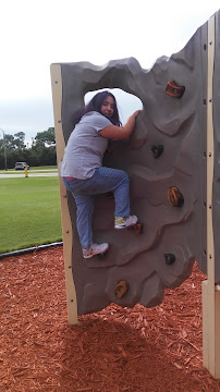 Jwp landscaping inc - Photo 8 - Car repair in , Deltona