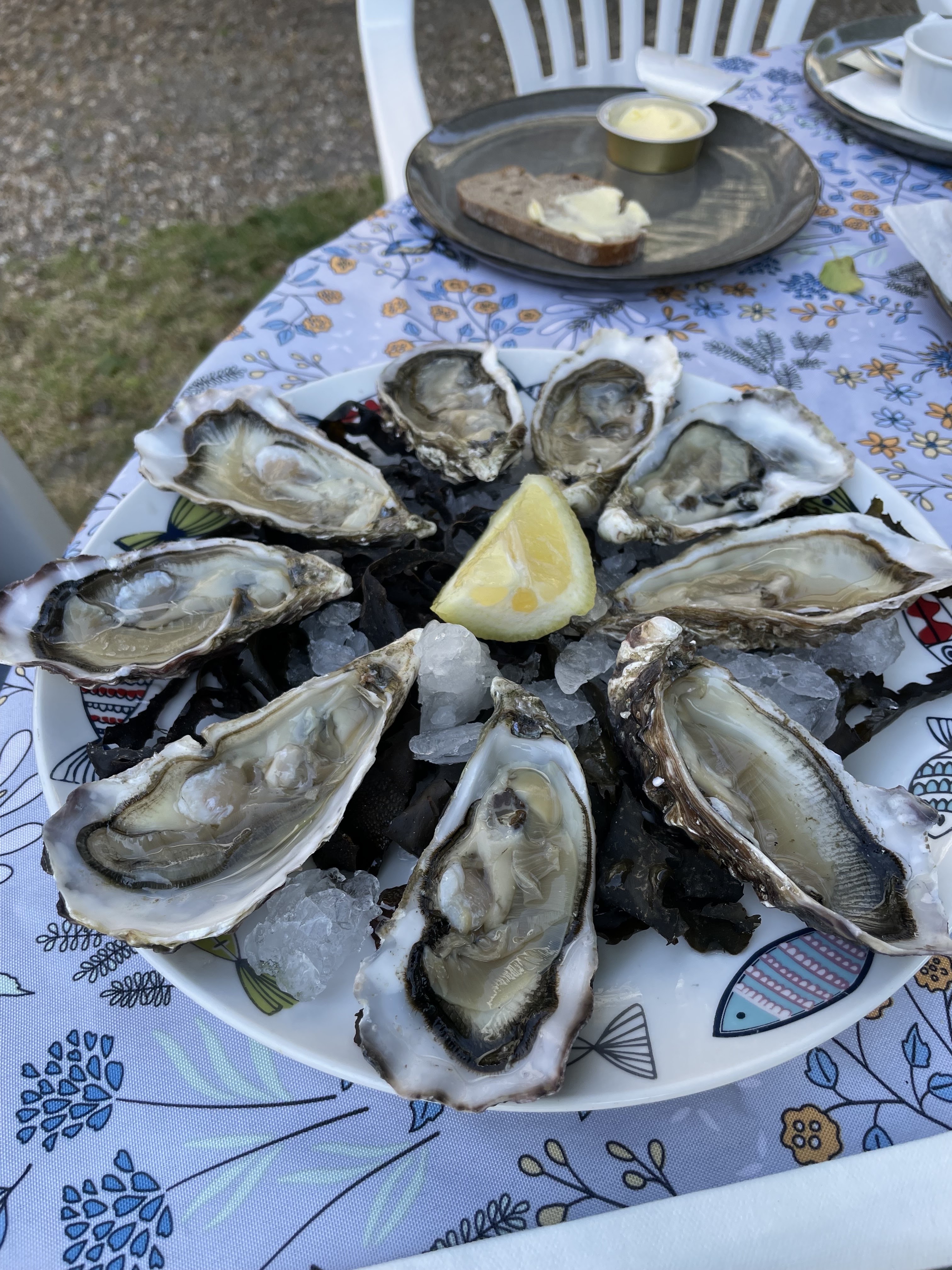 Photo n° 2 de l'avis de François. fait le 28/05/2023 à 05:21